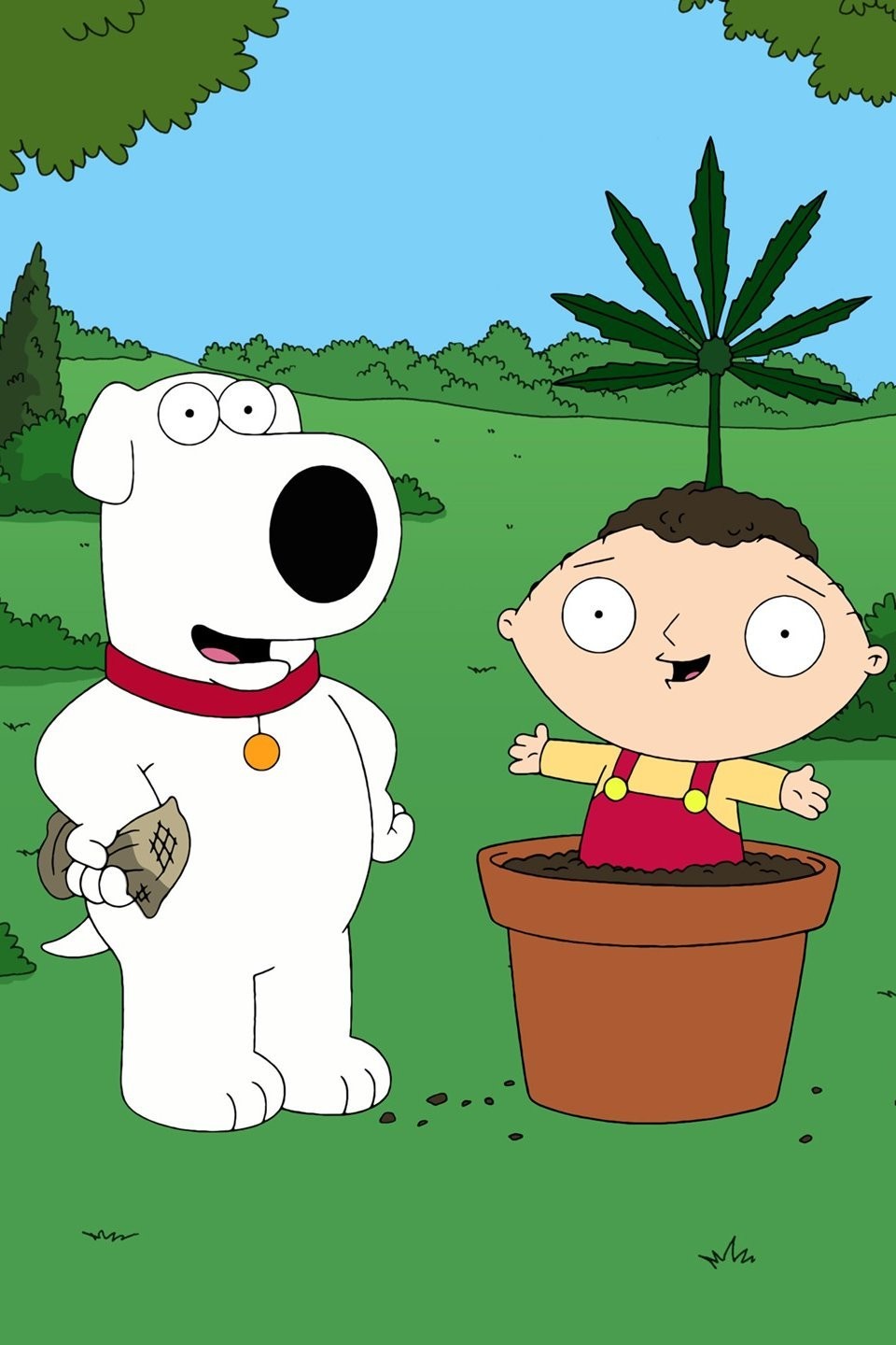 Family Guy Season 7 Episode 12 Rotten Tomatoes