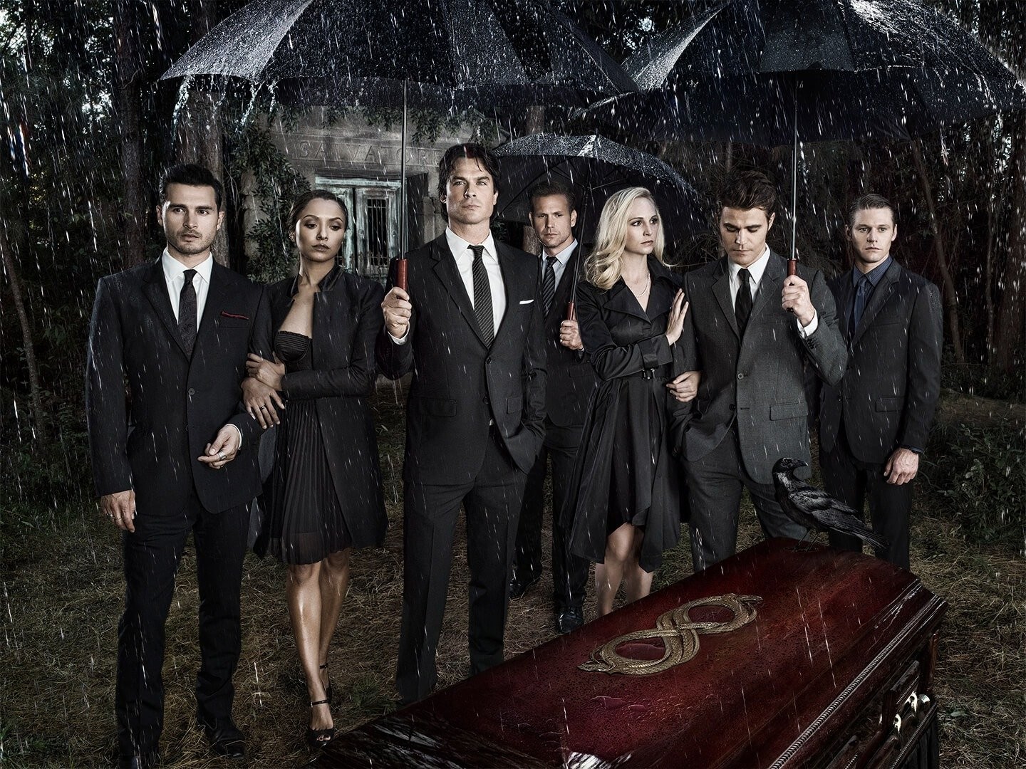 Diarios de um Vampiro ( The vampire diaries)