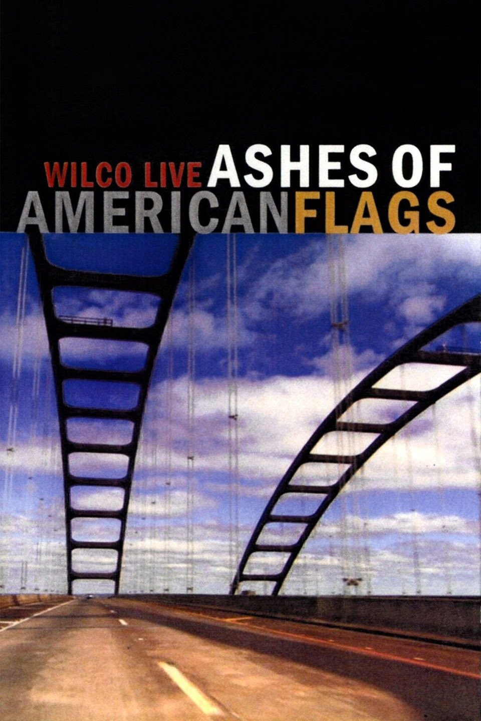 Wilco Live Ashes of American Flags Pictures Rotten Tomatoes