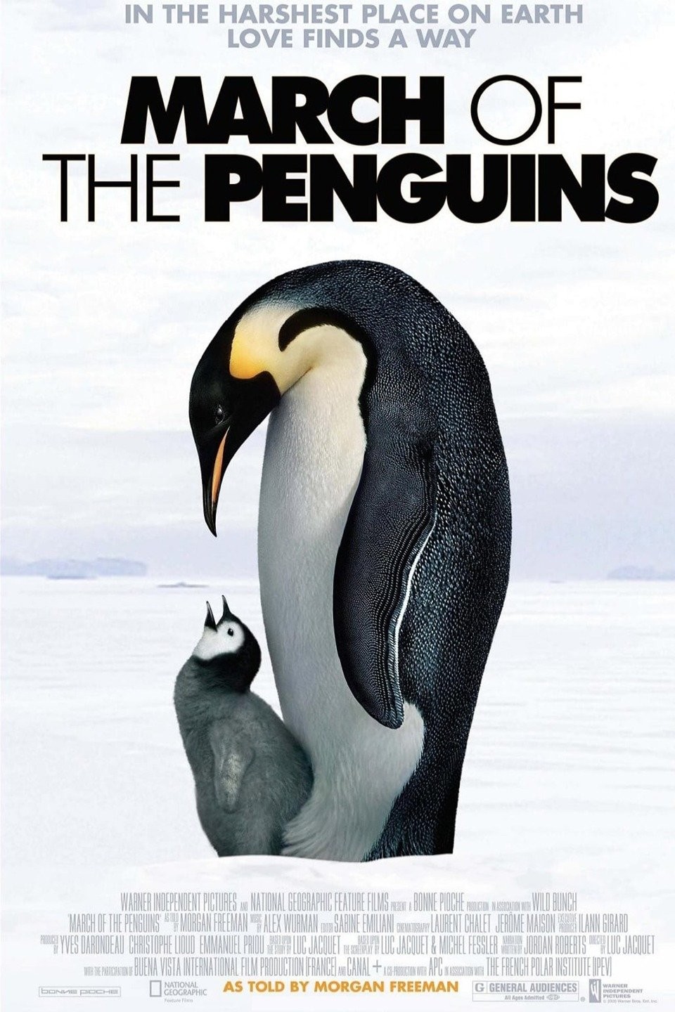 day 1: I AM SO EXCITED TO START THIS SERIES! this penguin is