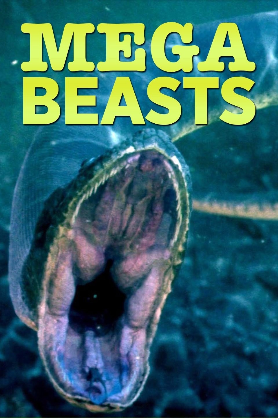 Mega Beasts: Season 1 | Rotten Tomatoes