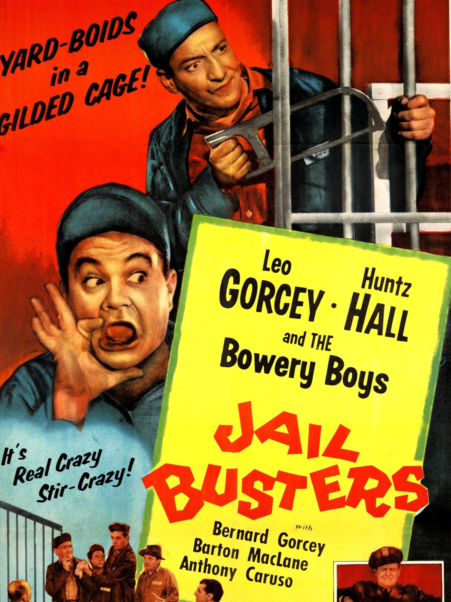 Jail Busters Pictures Rotten Tomatoes