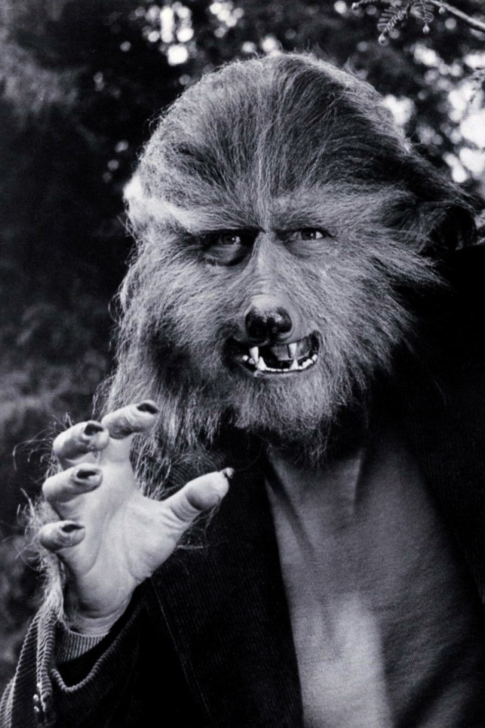 The Boy Who Cried Werewolf (1973) – Mike's Take On the Movies