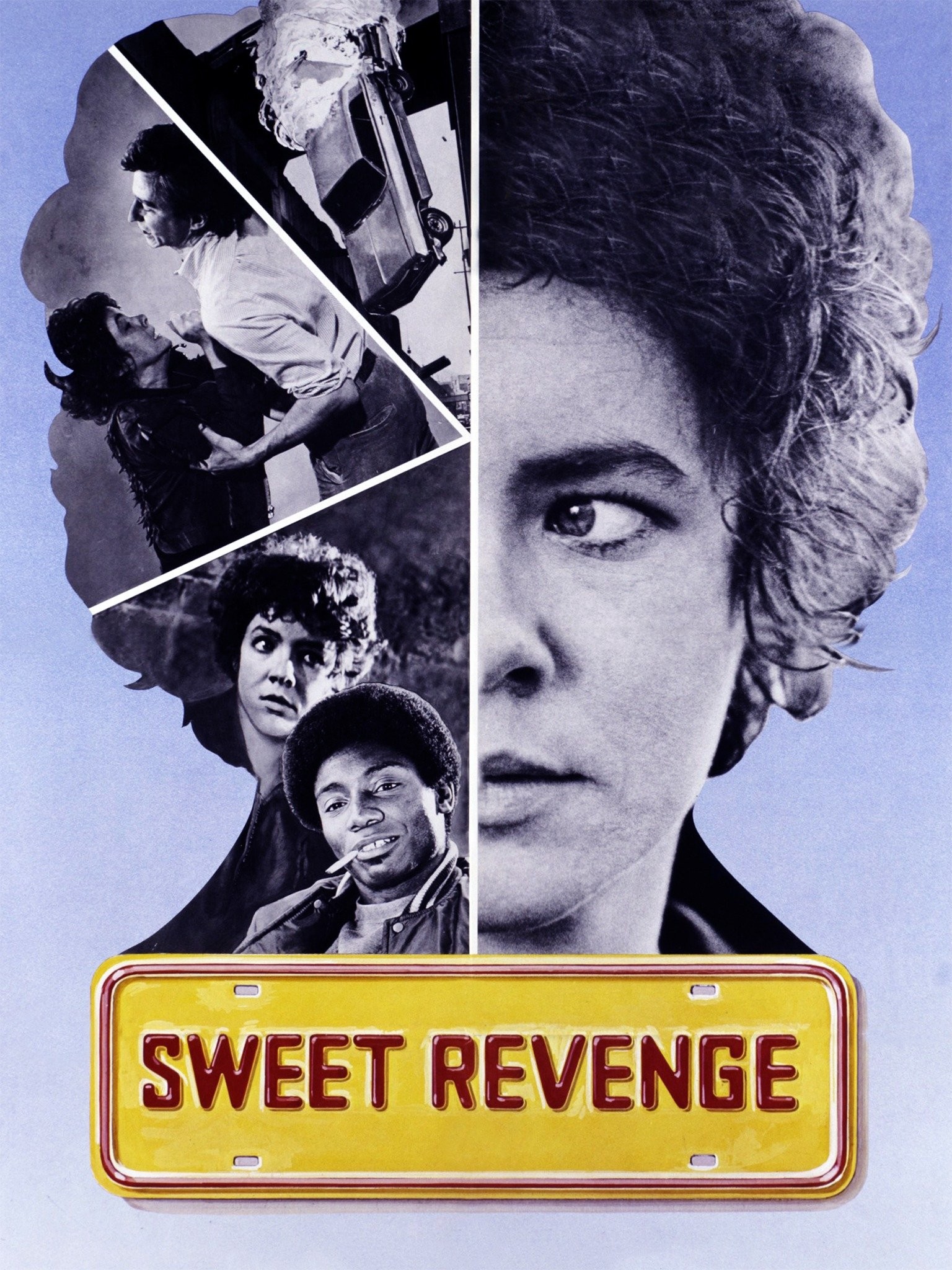 Sweet Revenge  Rotten Tomatoes
