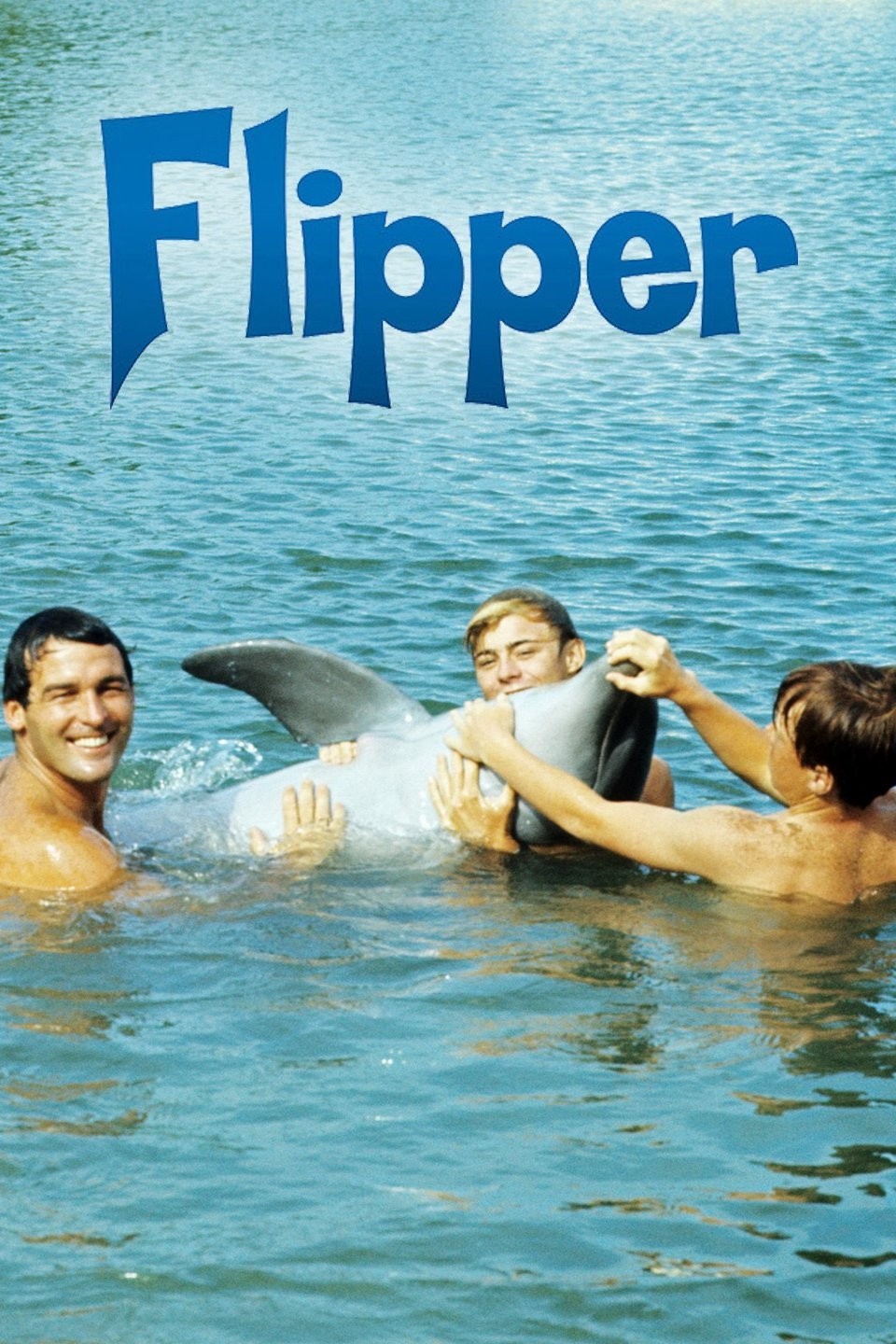 Flipper: Season 3, Episode 8 | Rotten Tomatoes