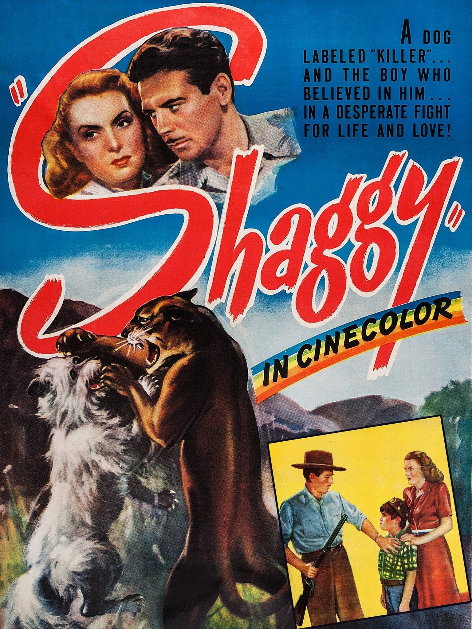 Shaggy | Rotten Tomatoes