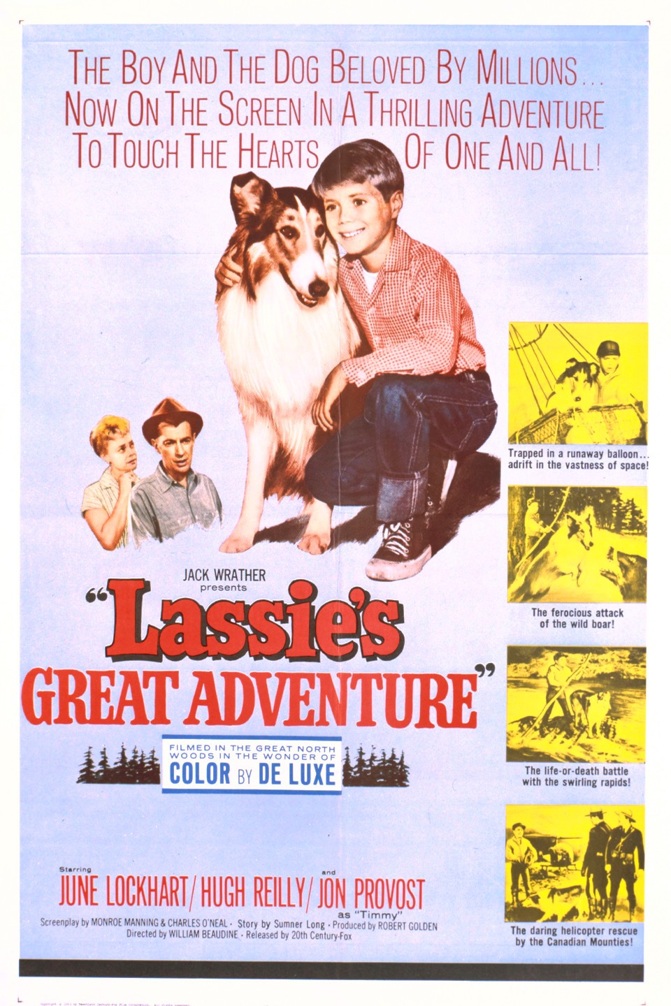 Lassie: The Wayfarers (1964) - Movie