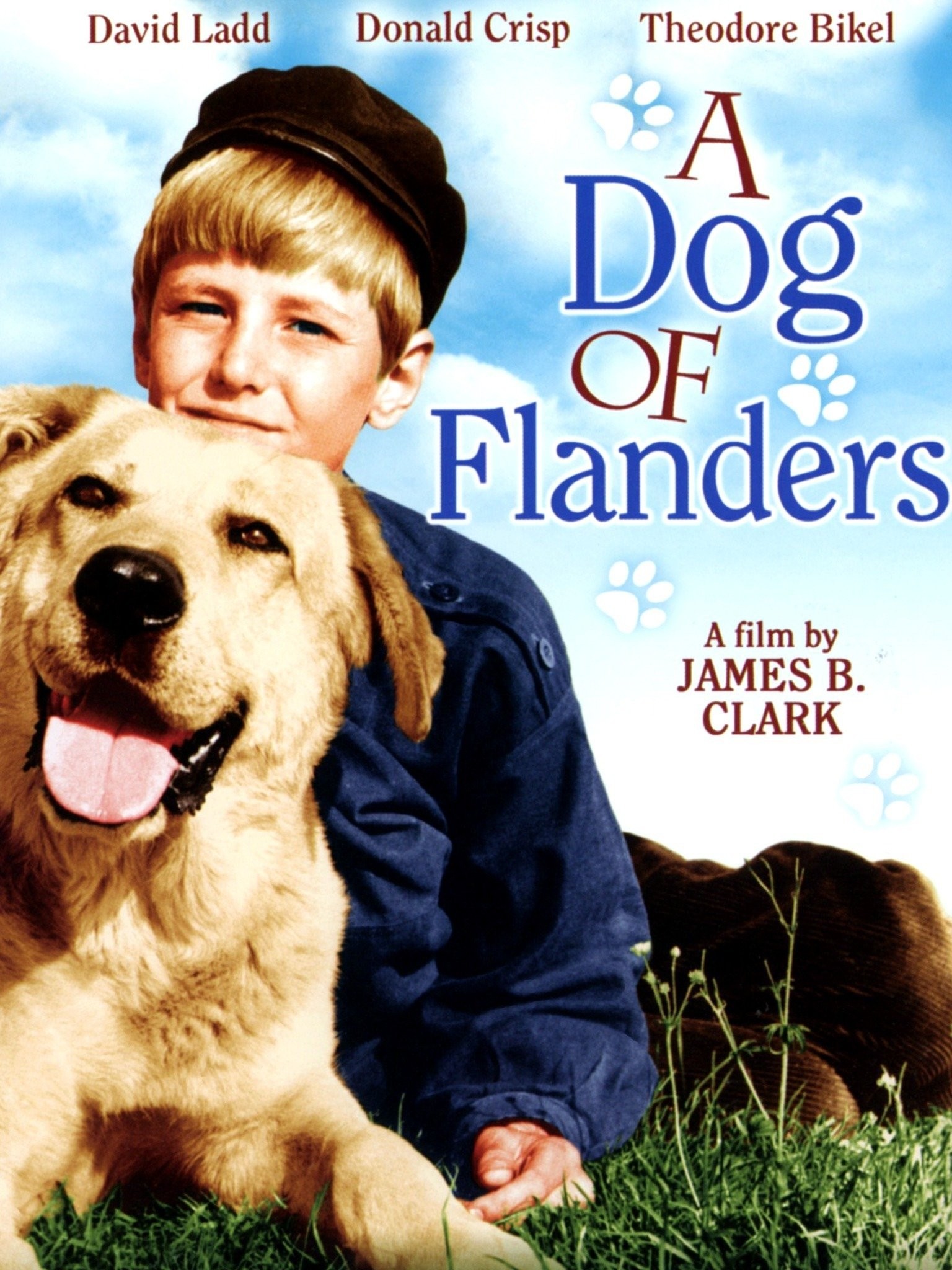 Dog of Flanders (TV series) - Wikipedia