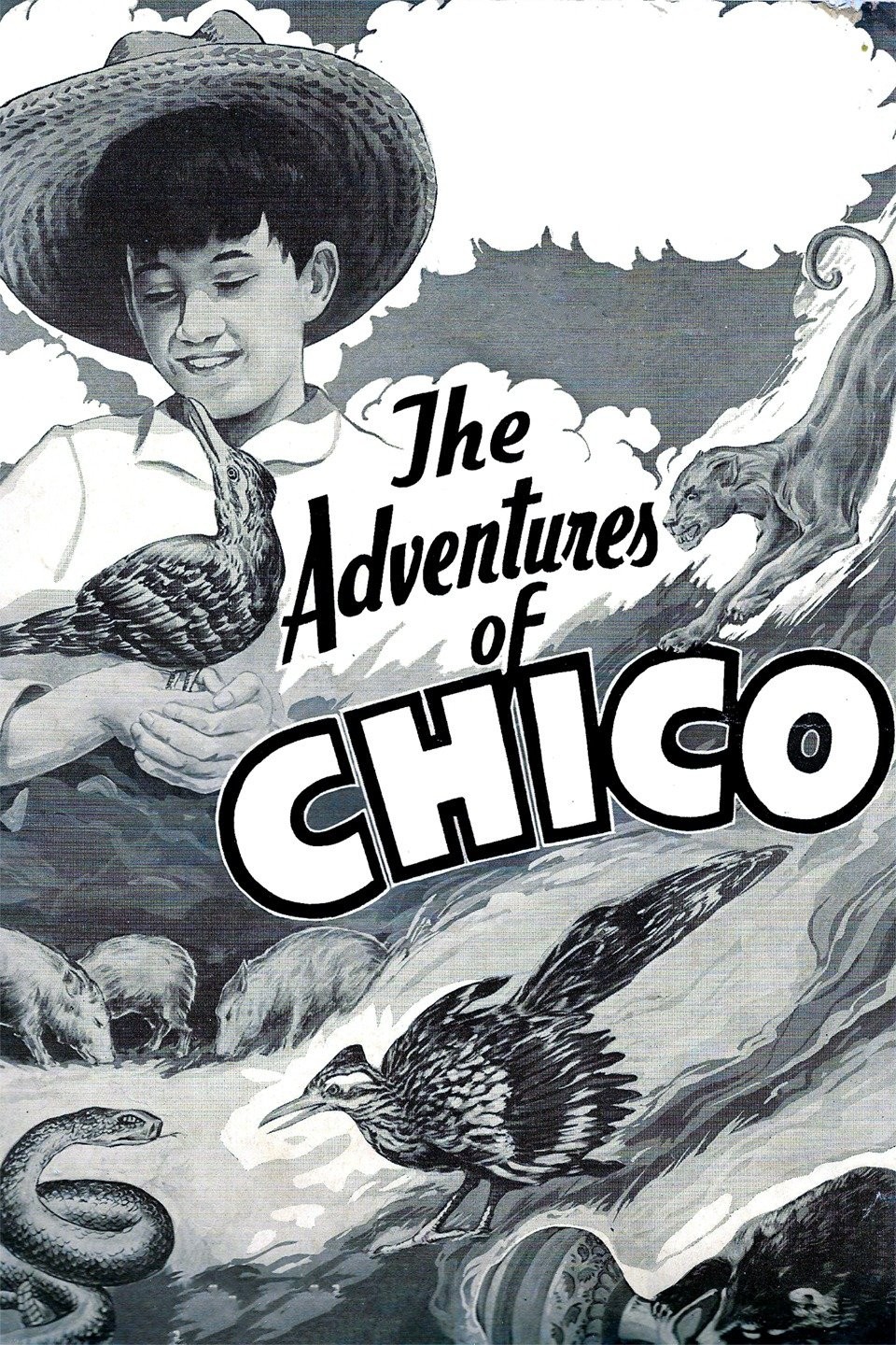 The Adventures of Chico Pictures | Rotten Tomatoes