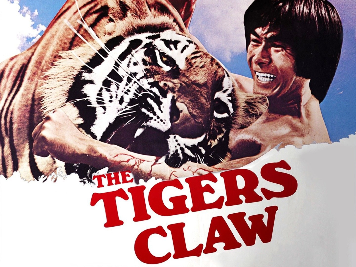NEW! - Tiger Claw
