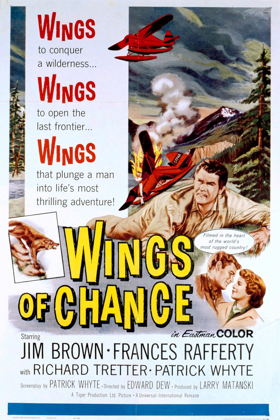 Wings of Hope, film lands on  - BFREE