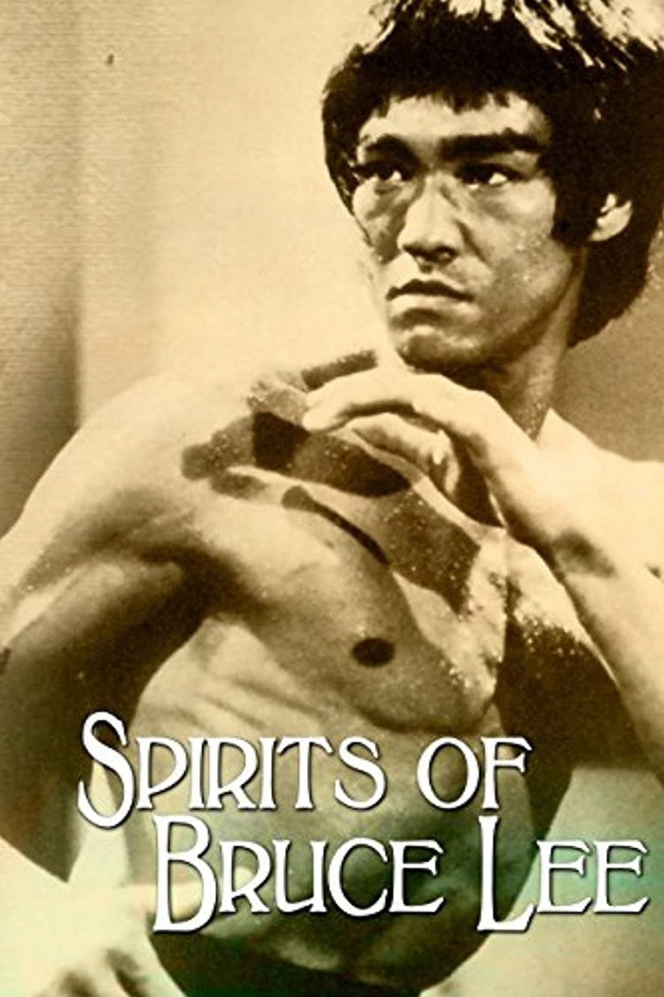 Spirits of Bruce Lee | Rotten Tomatoes