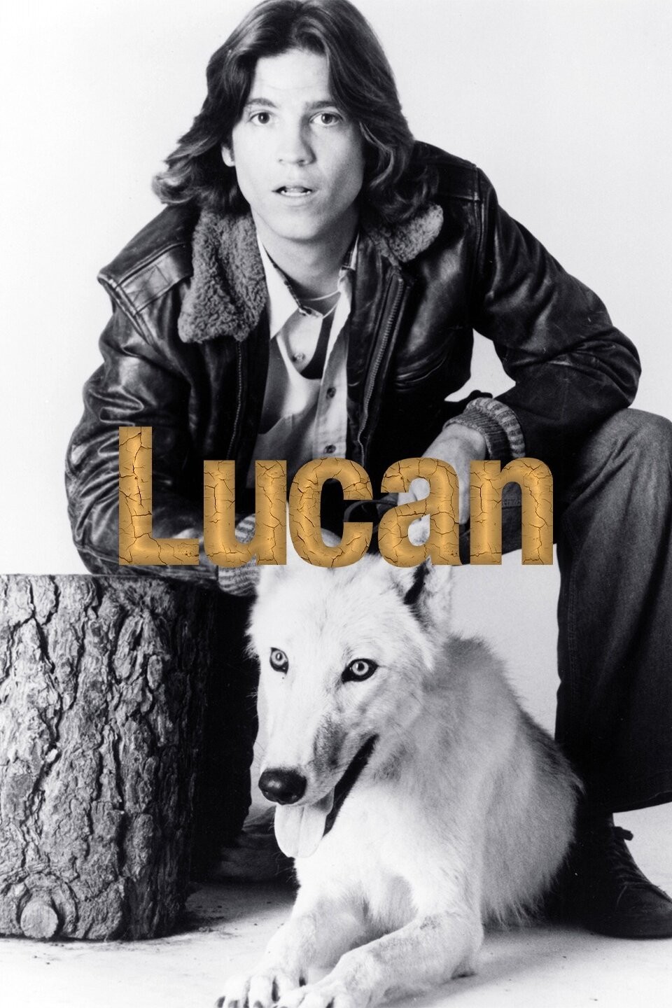 Lucan Pictures | Rotten Tomatoes