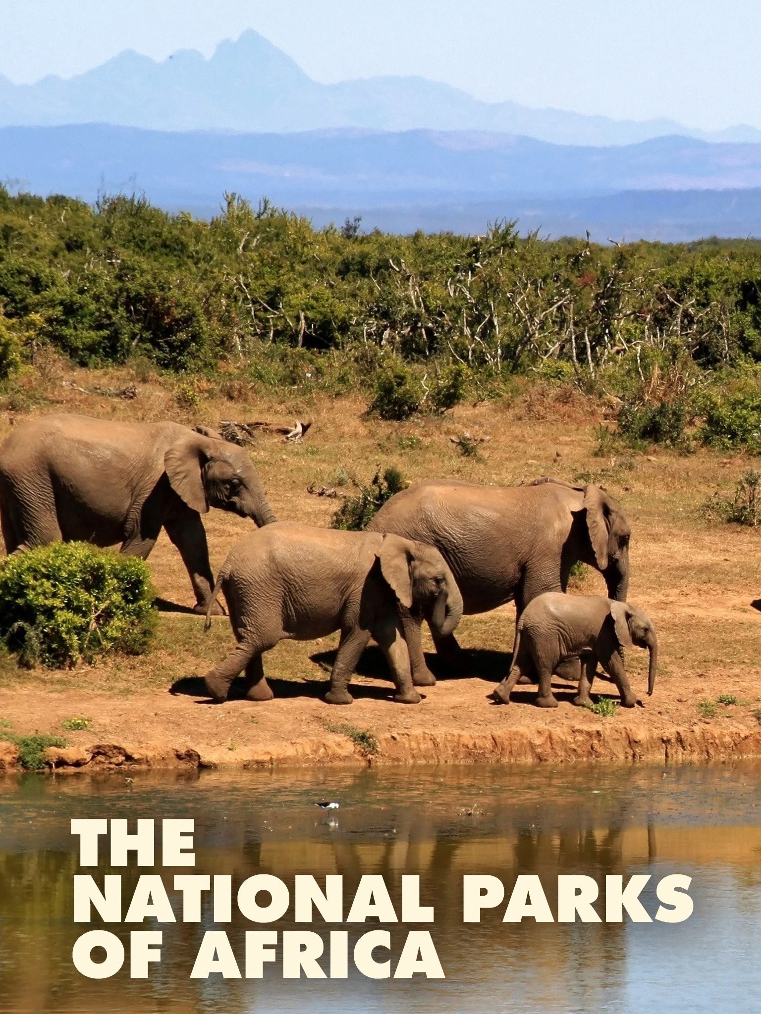 The National Parks of Africa Rotten Tomatoes