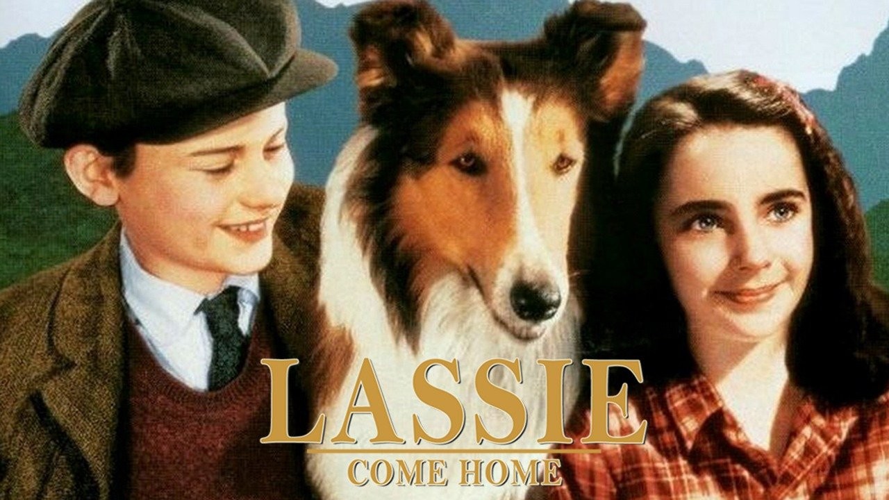 Lassie Come Home  The Spokesman-Review