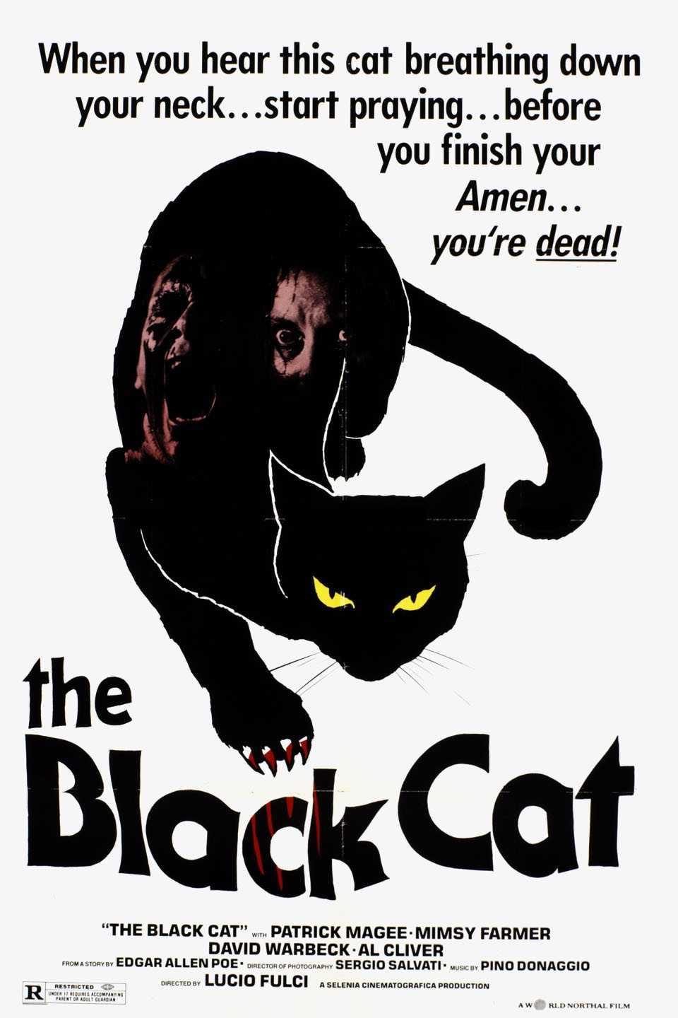 Black Cat (TV Series 2005–2006) - IMDb