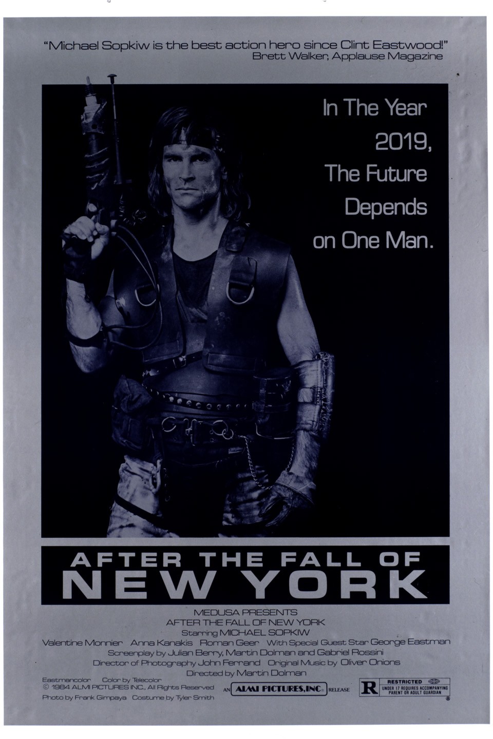 Poster of After the Fall of New York