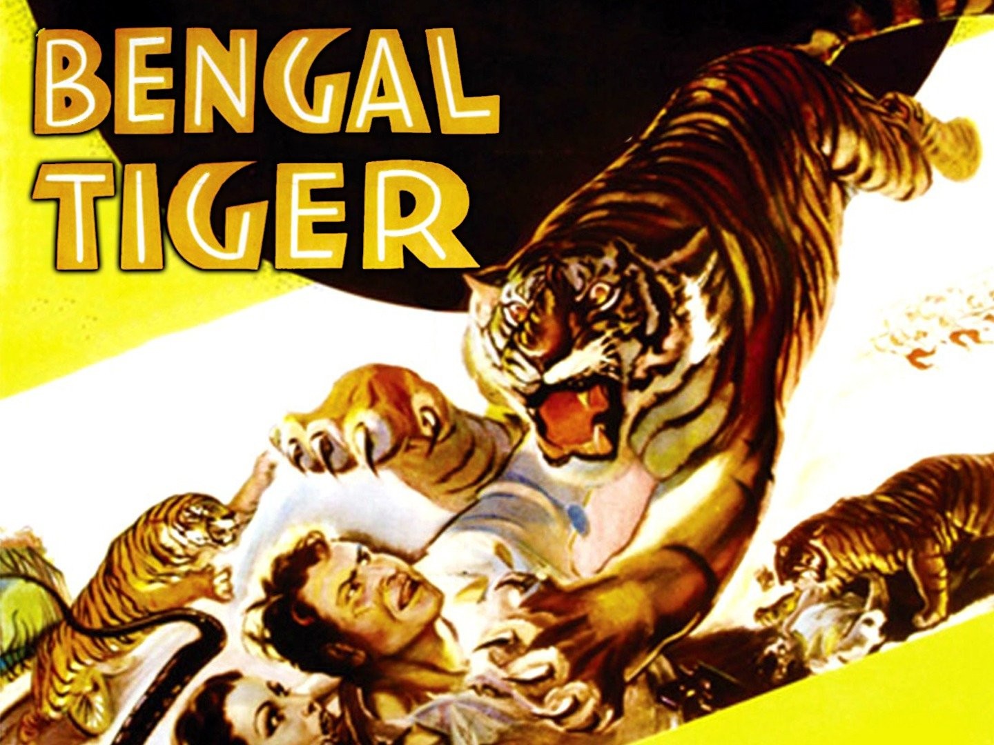 Bengal Tiger - Rotten Tomatoes