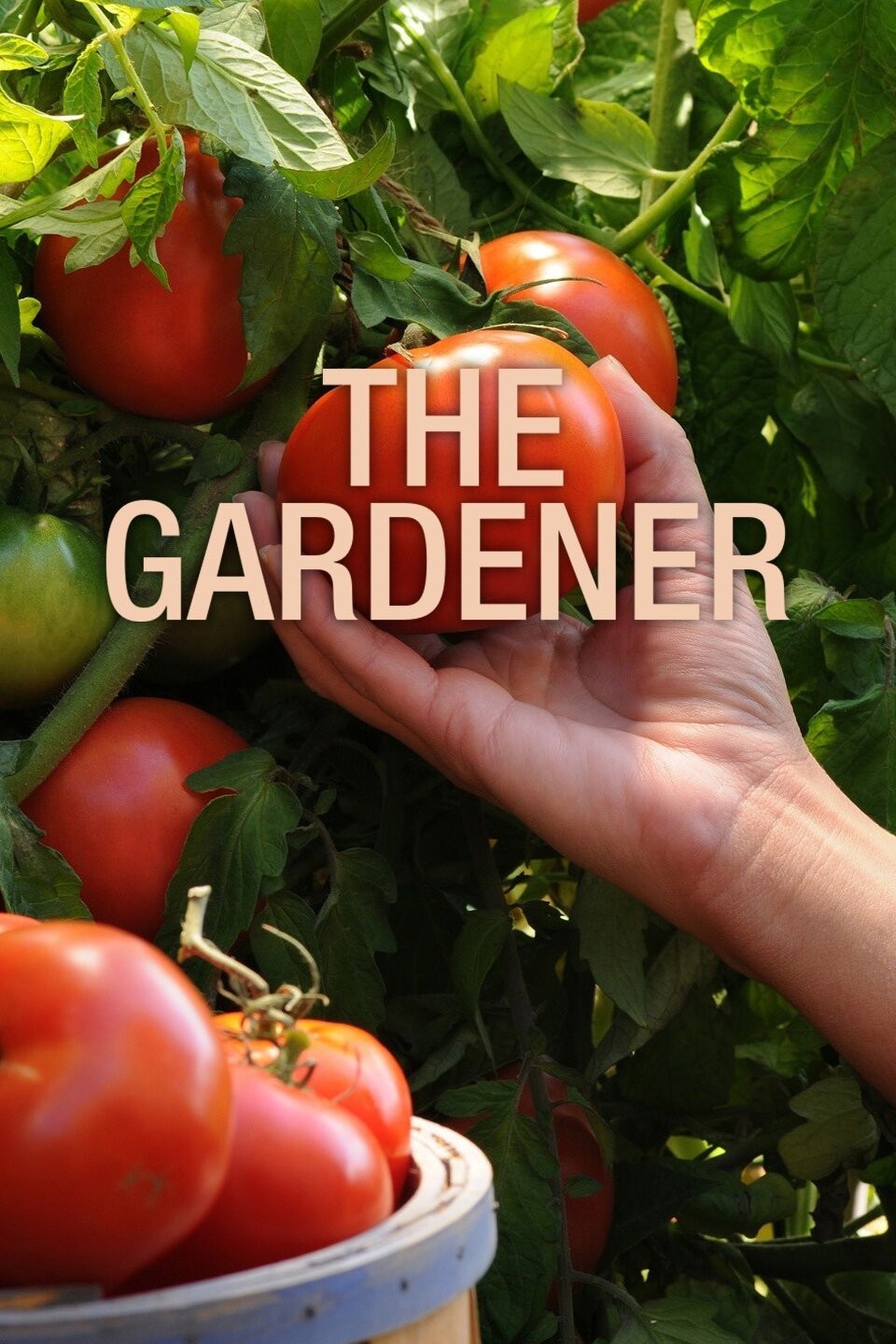 the-gardener-rotten-tomatoes