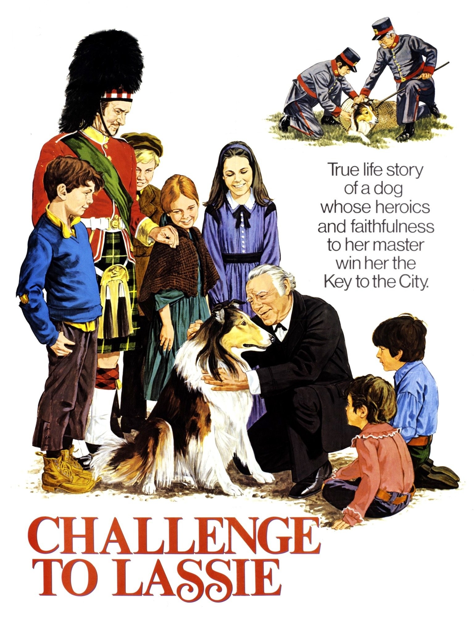 Courage of Lassie - Rotten Tomatoes