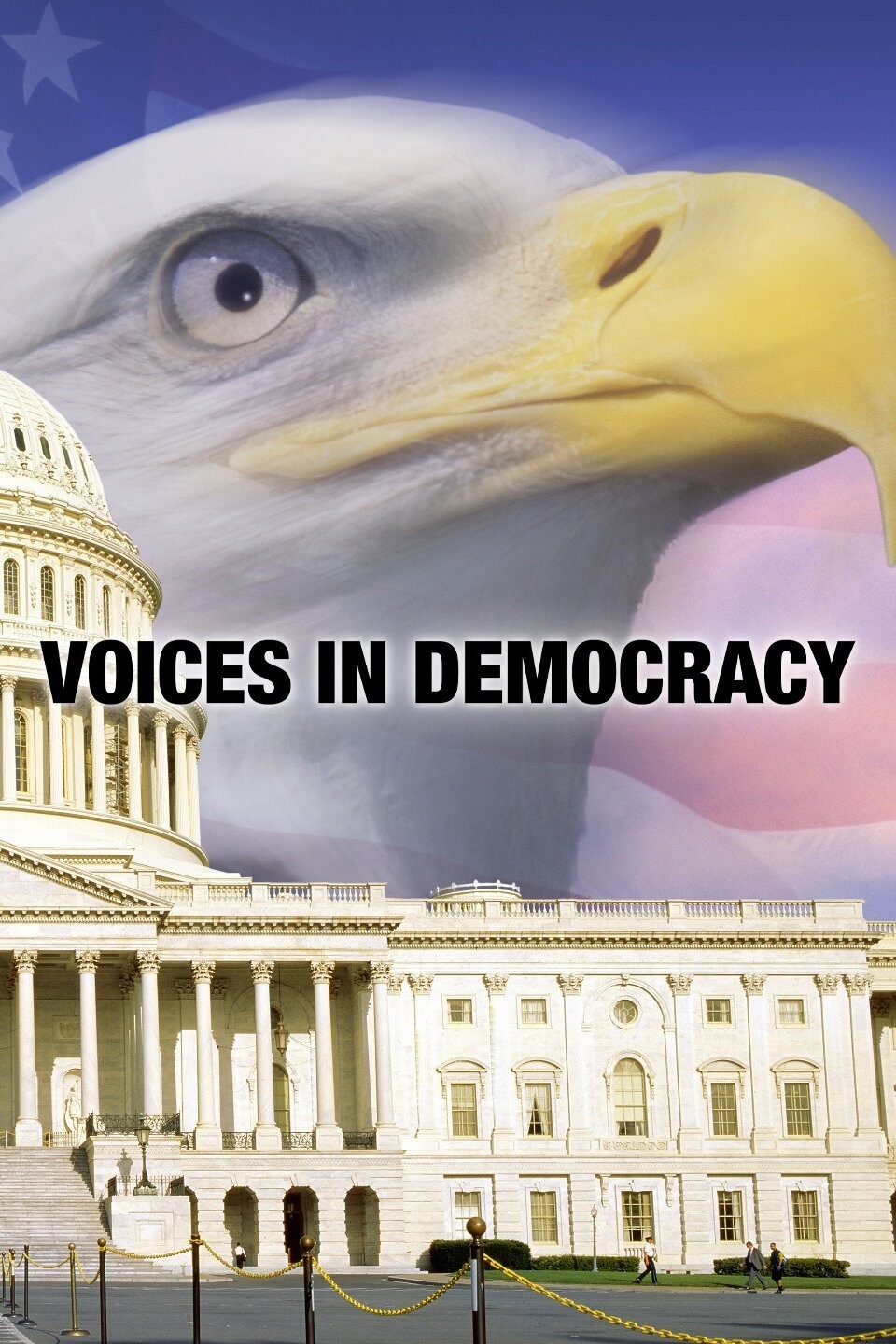 Voices In Democracy Rotten Tomatoes