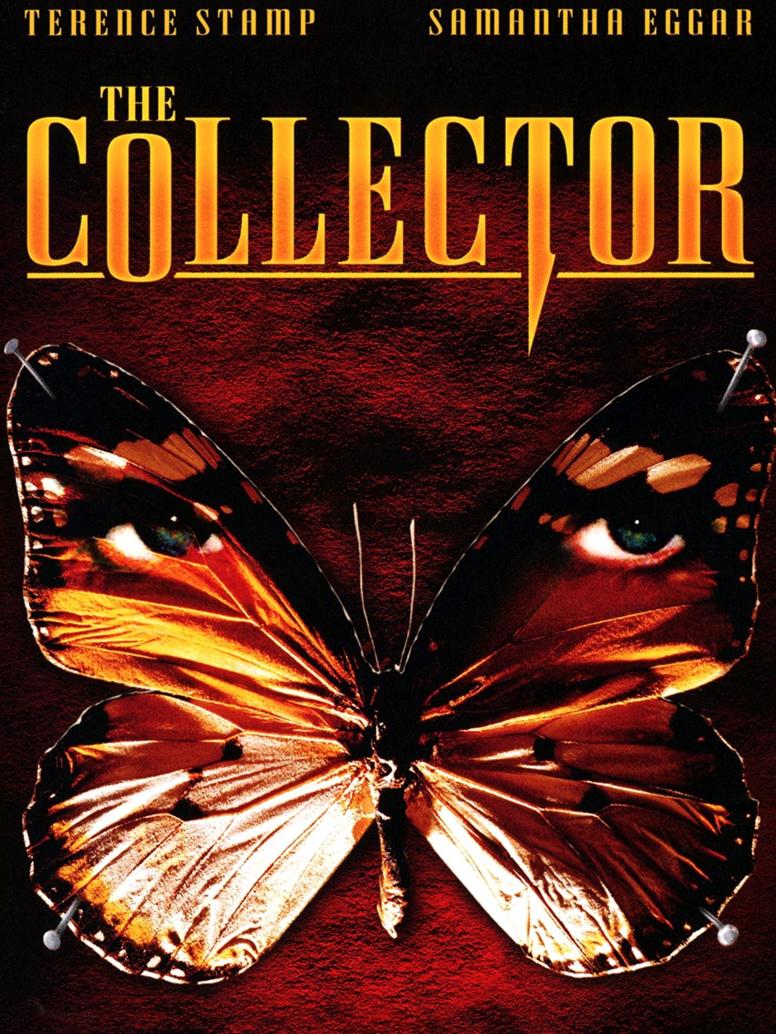 The Collector - Rotten Tomatoes
