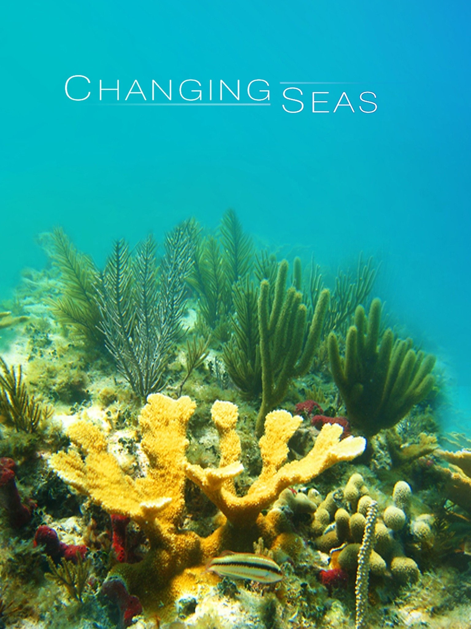 Changing Seas Season 10 Rotten Tomatoes