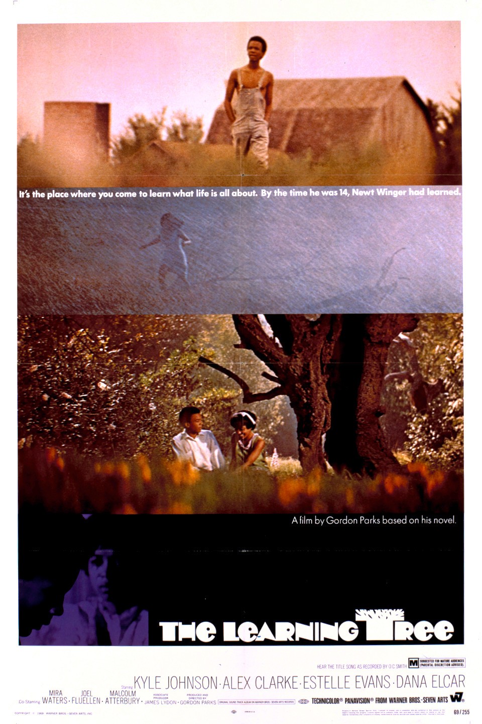 The Learning Tree | Rotten Tomatoes