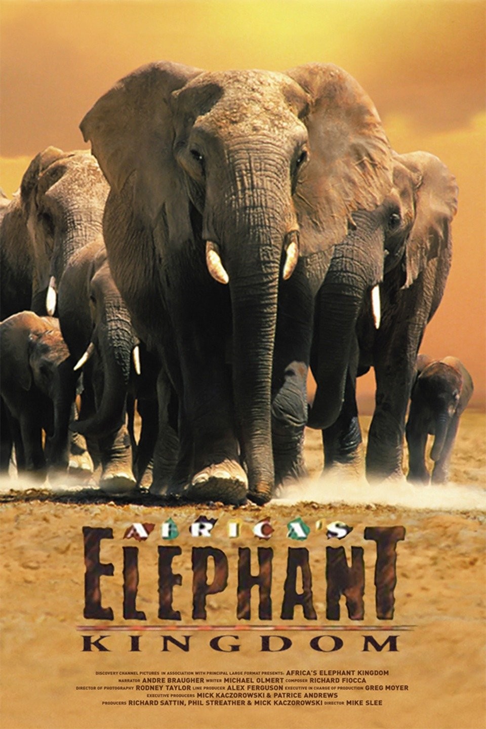 その他 Africa&#39;s Elephant Kingdom [DVD] Amazon.com: Africa's Elephant Kingdom (Large Format) [DVD