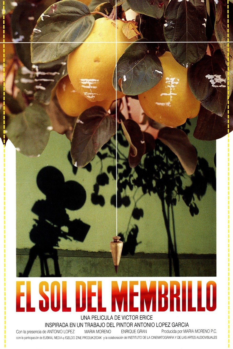 マルメロの陽光 El sol del membrillo DVD p66153_p_v8_aa.jpg