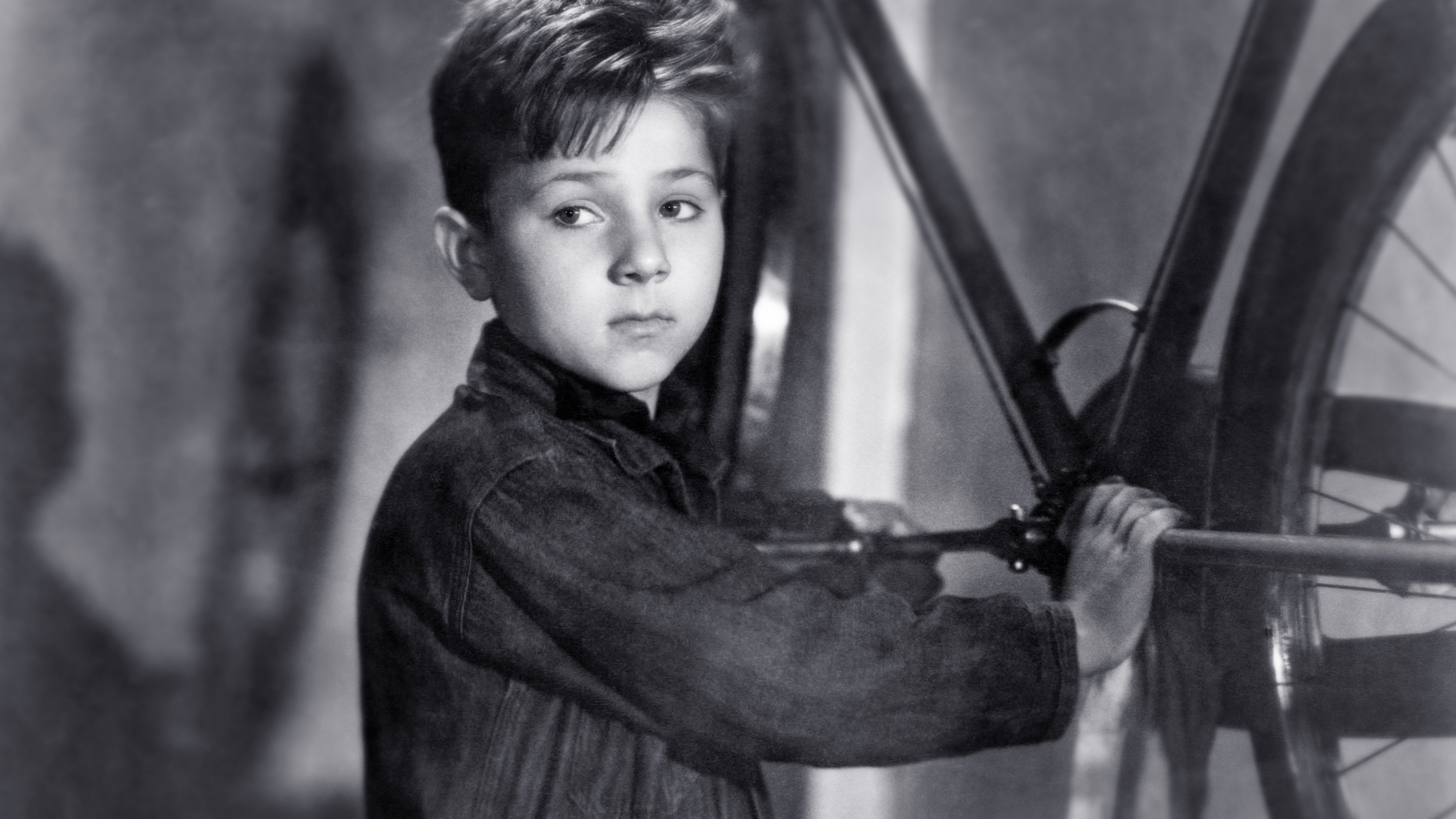 Bicycle Thieves: Ode to the Common Man, Current