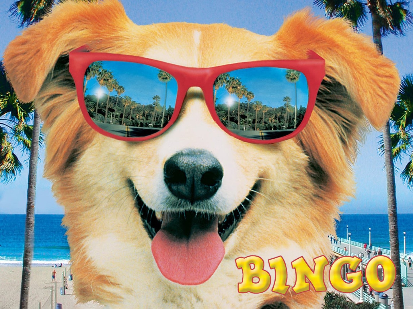 Bingo Movie Football