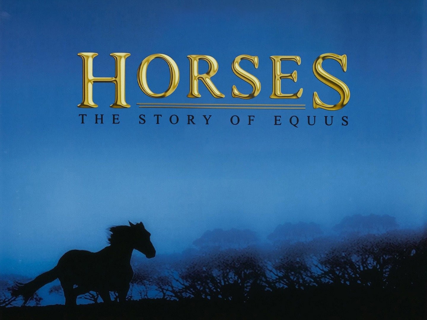 Horses of Waterfall, Der Film