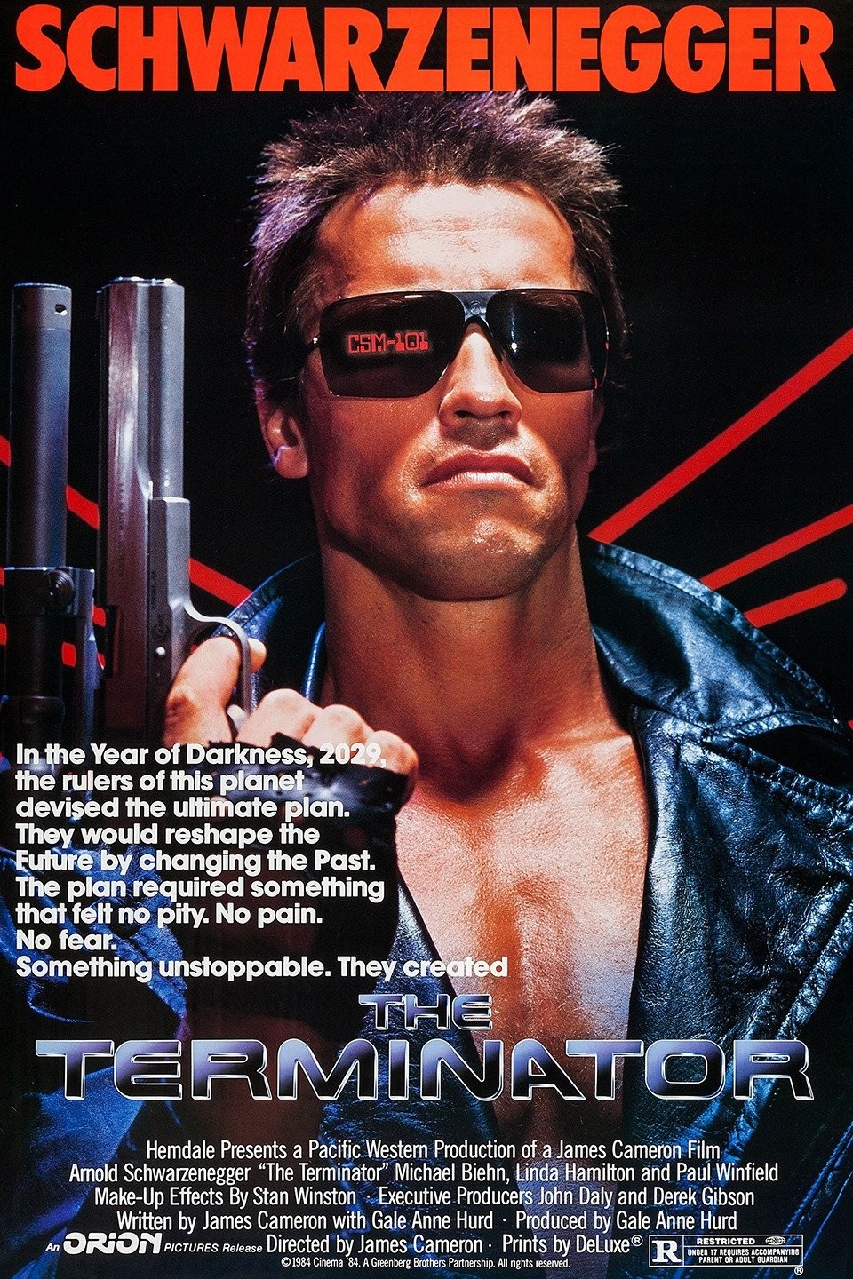 Netflix Releases Arnold Schwarzenegger Documentary Trailer – The Hollywood  Reporter