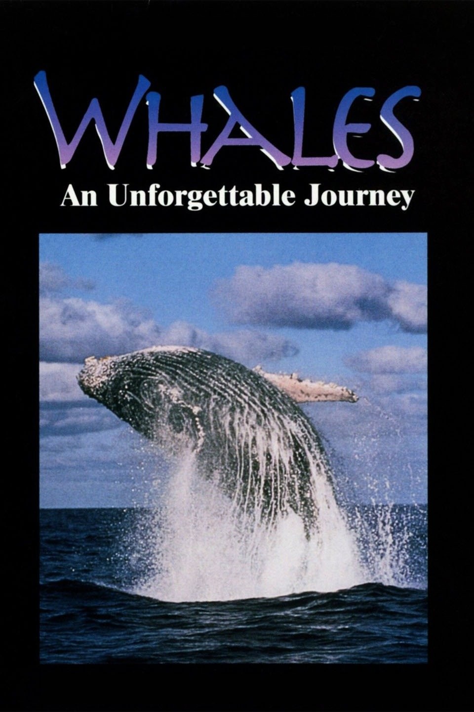 Whales | Rotten Tomatoes