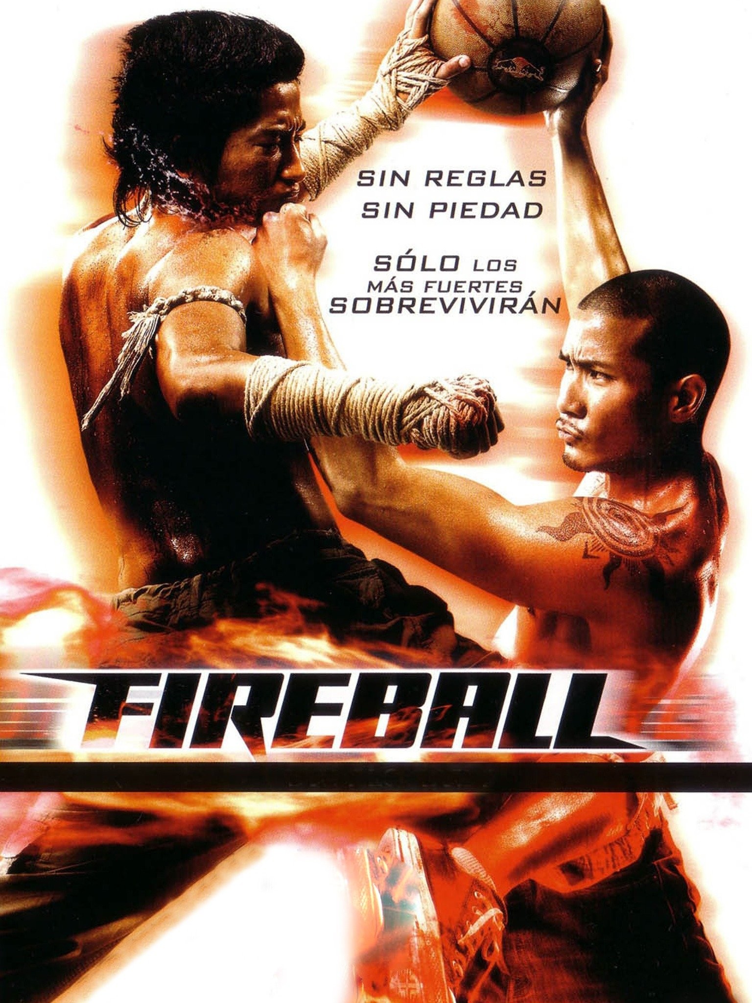 Fireball filme completo dublado｜TikTok Search