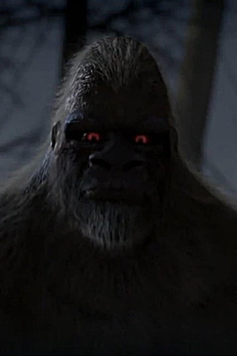 Sierra Sasquatch Pictures Rotten Tomatoes