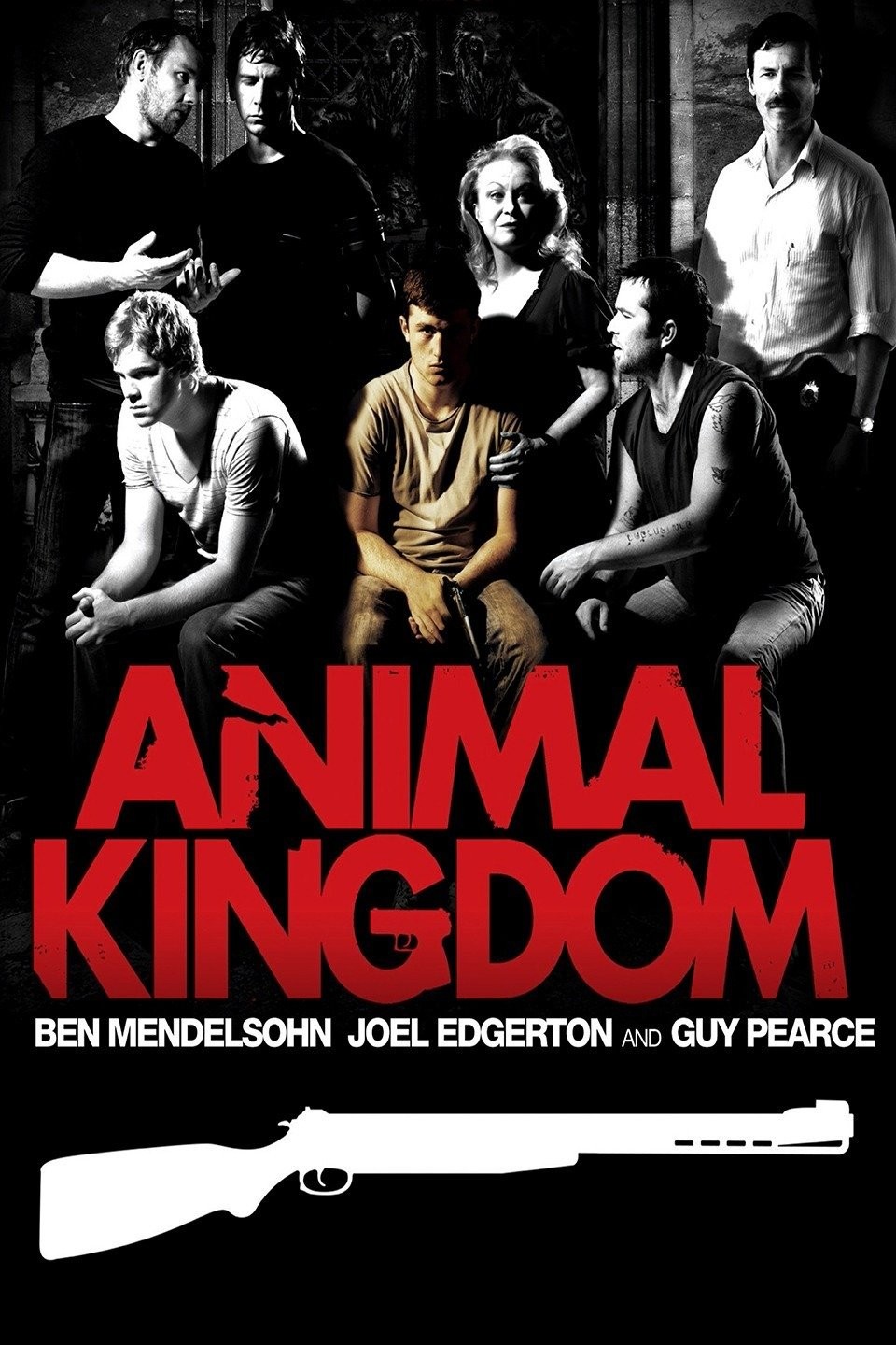 Animal kingdom amazon hot sale prime season 3