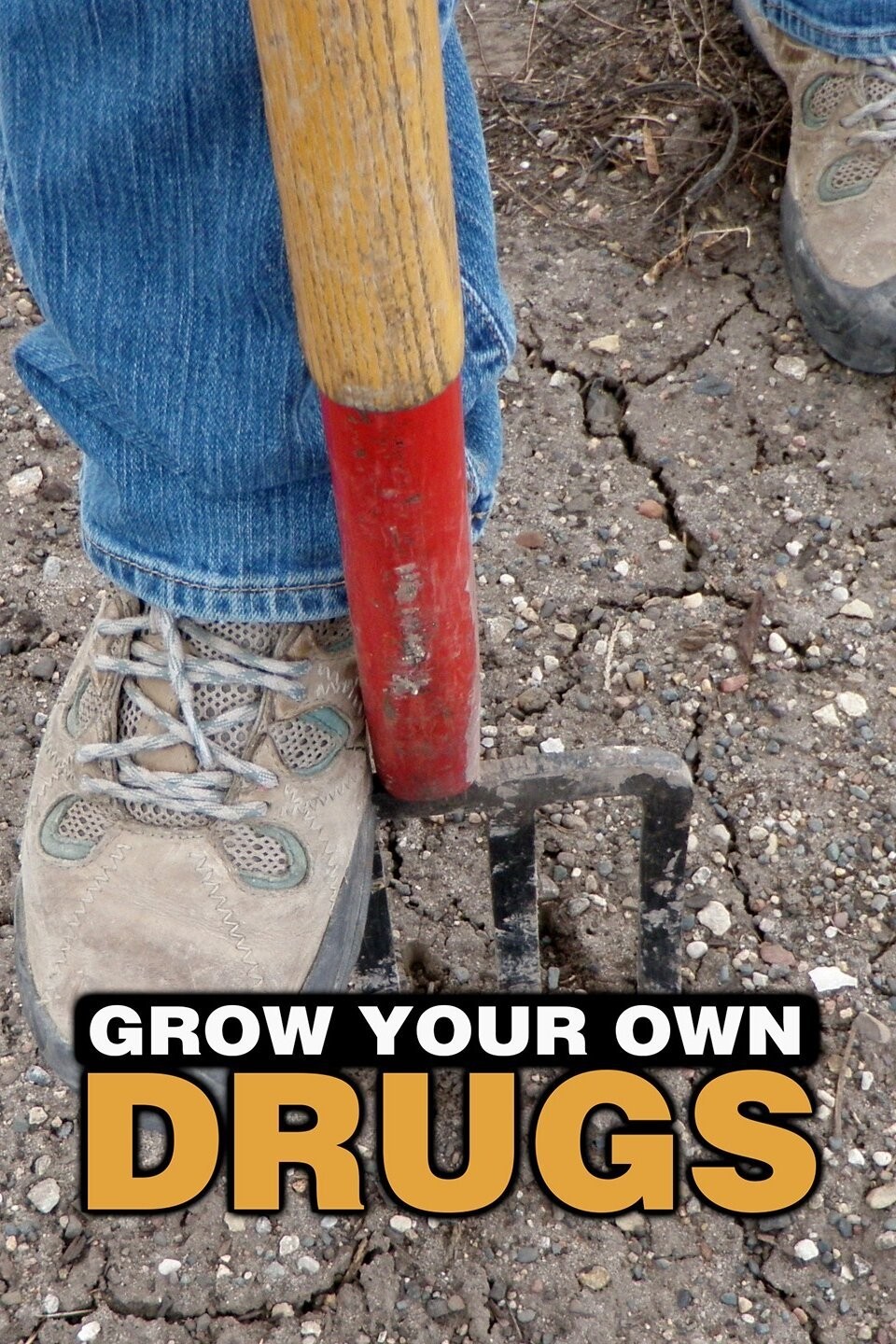 Trees Pictures | Rotten Tomatoes