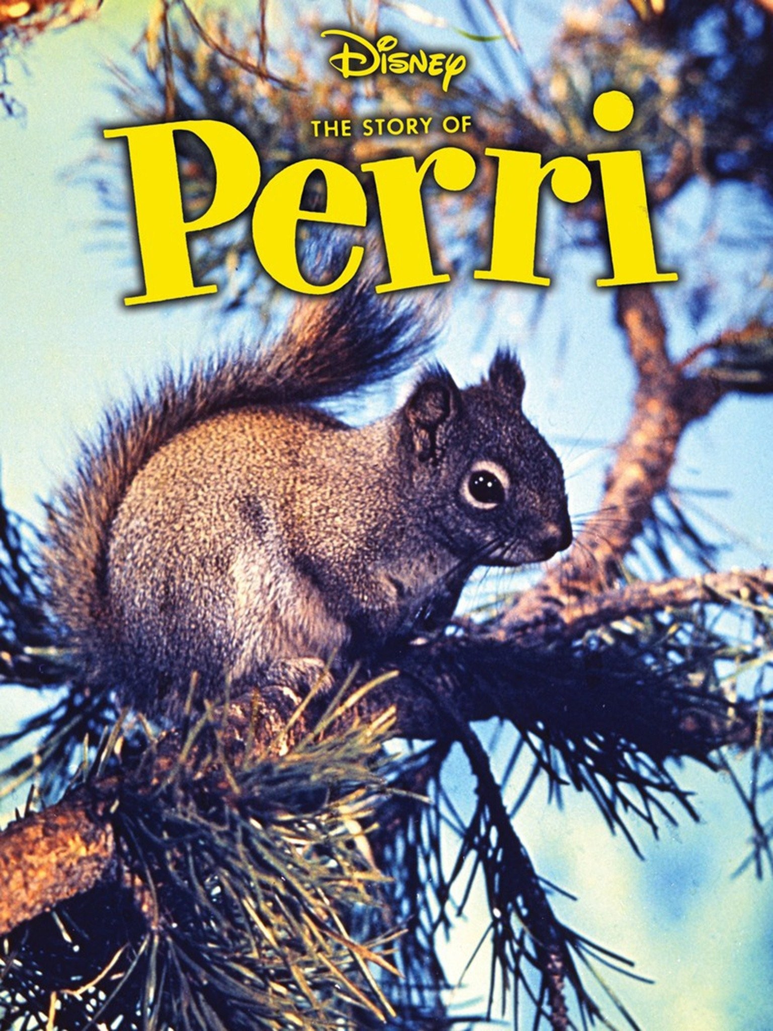 Perri | Rotten Tomatoes