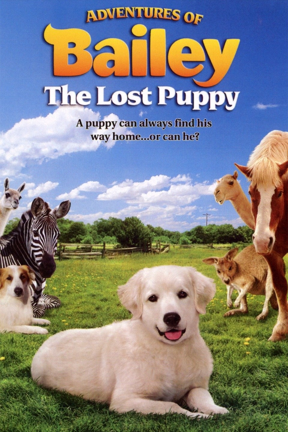 Adventures of Bailey: The Lost Puppy | Rotten Tomatoes