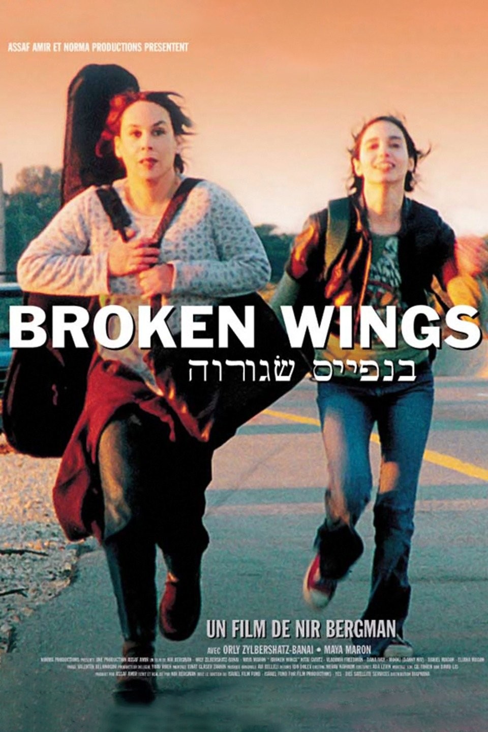 Broken Wings 