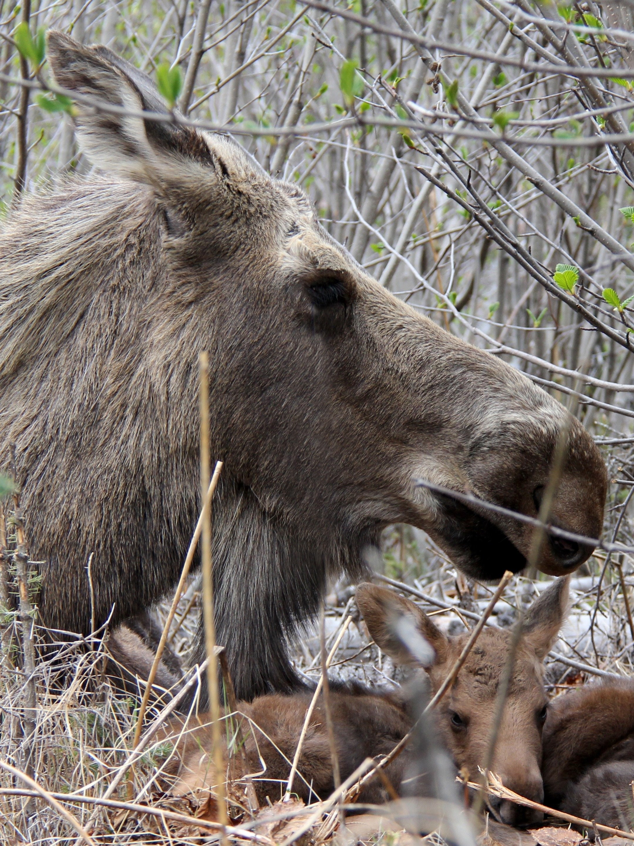 Crash Landing Pictures Rotten Tomatoes