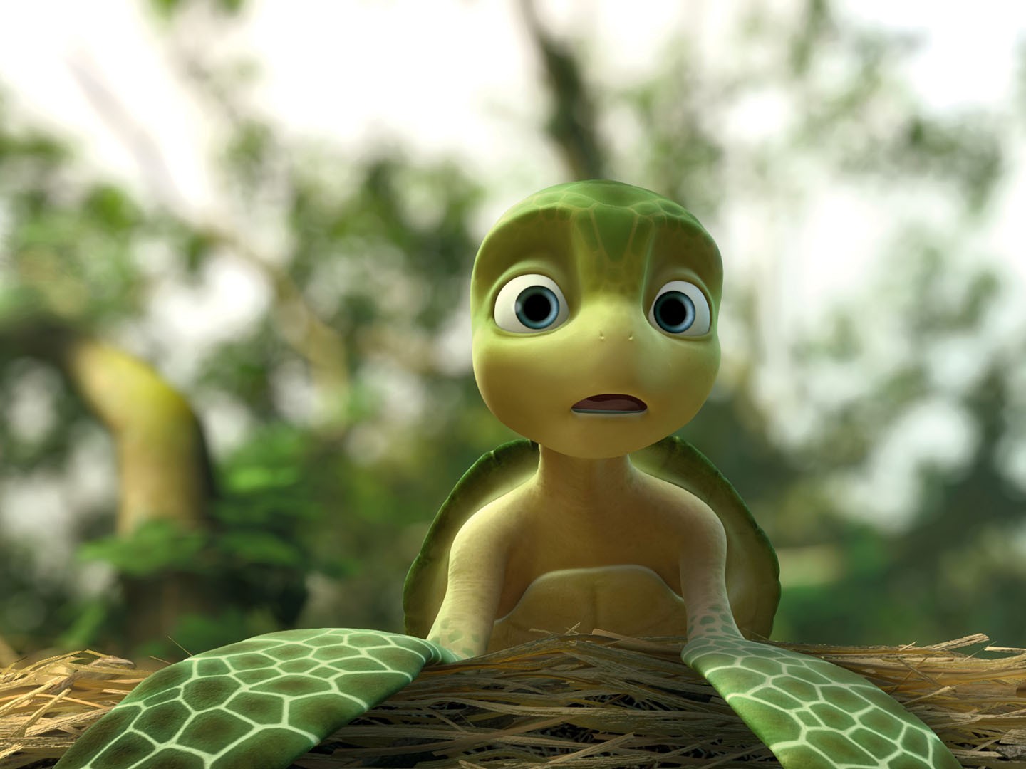 Turtle Tale (2015) - IMDb