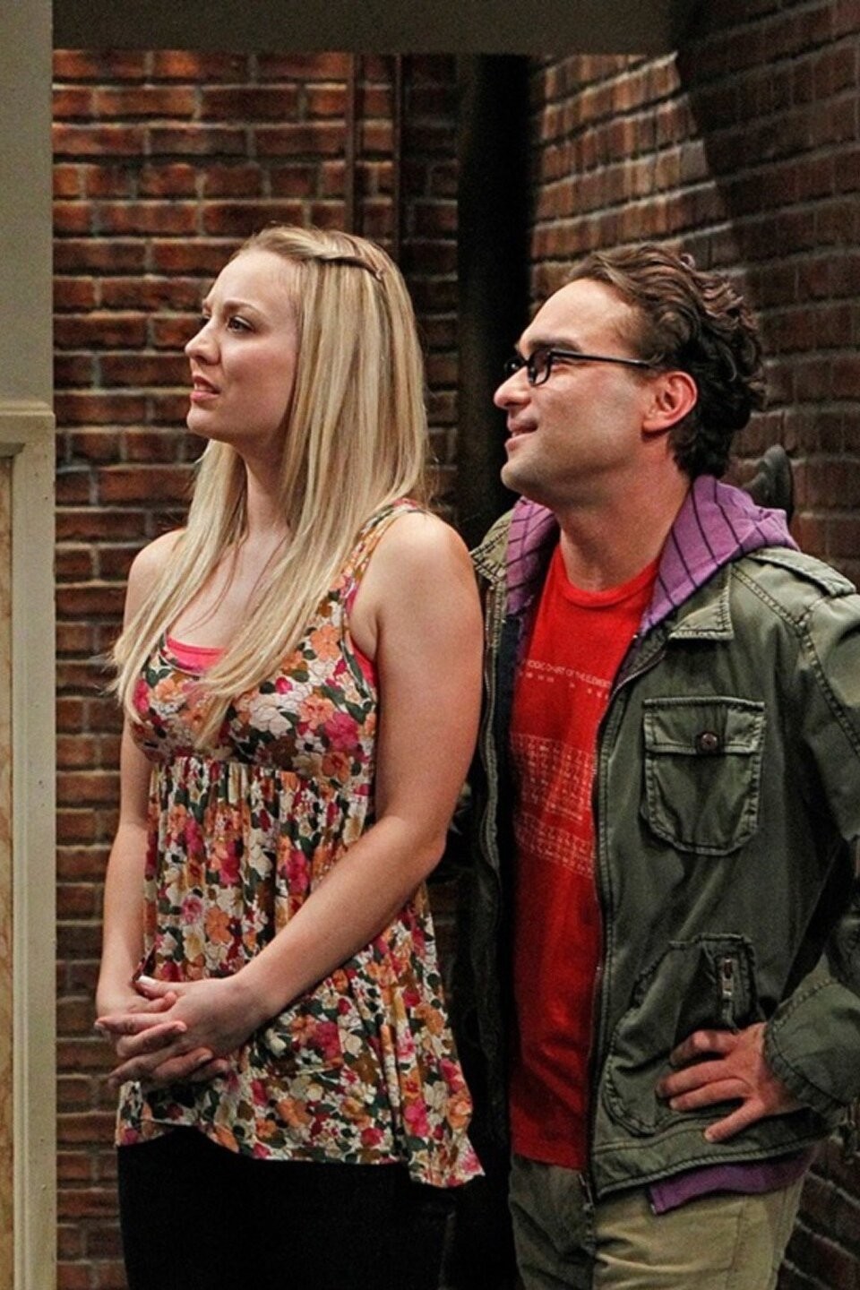 The Big Bang Theory Season 4 Episode 19 Rotten Tomatoes