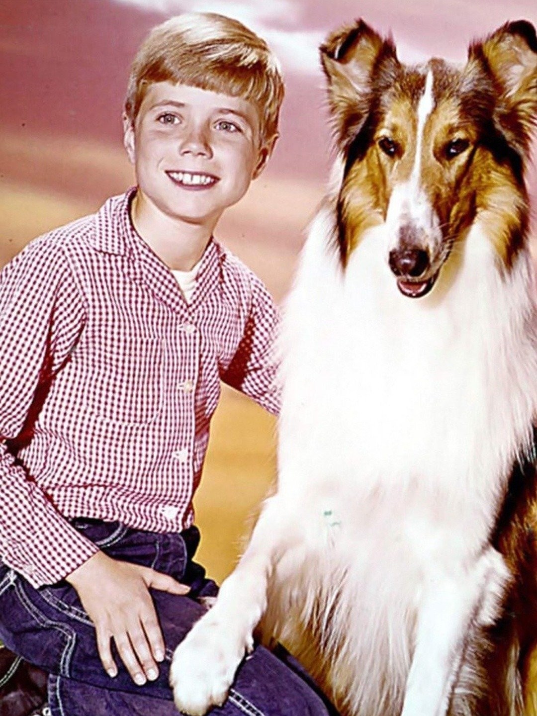 Lassie - Rotten Tomatoes