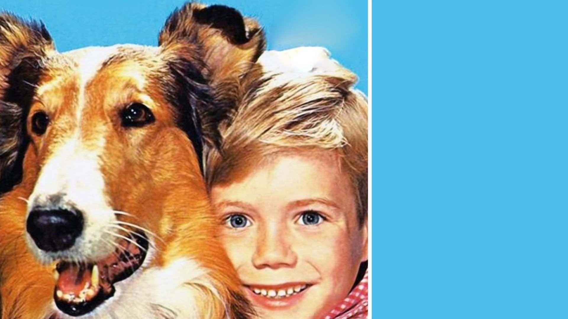 LASSIE: THE NEW BEGINNING - FREE FULL FAMILY MOVIE 🎥🐶 