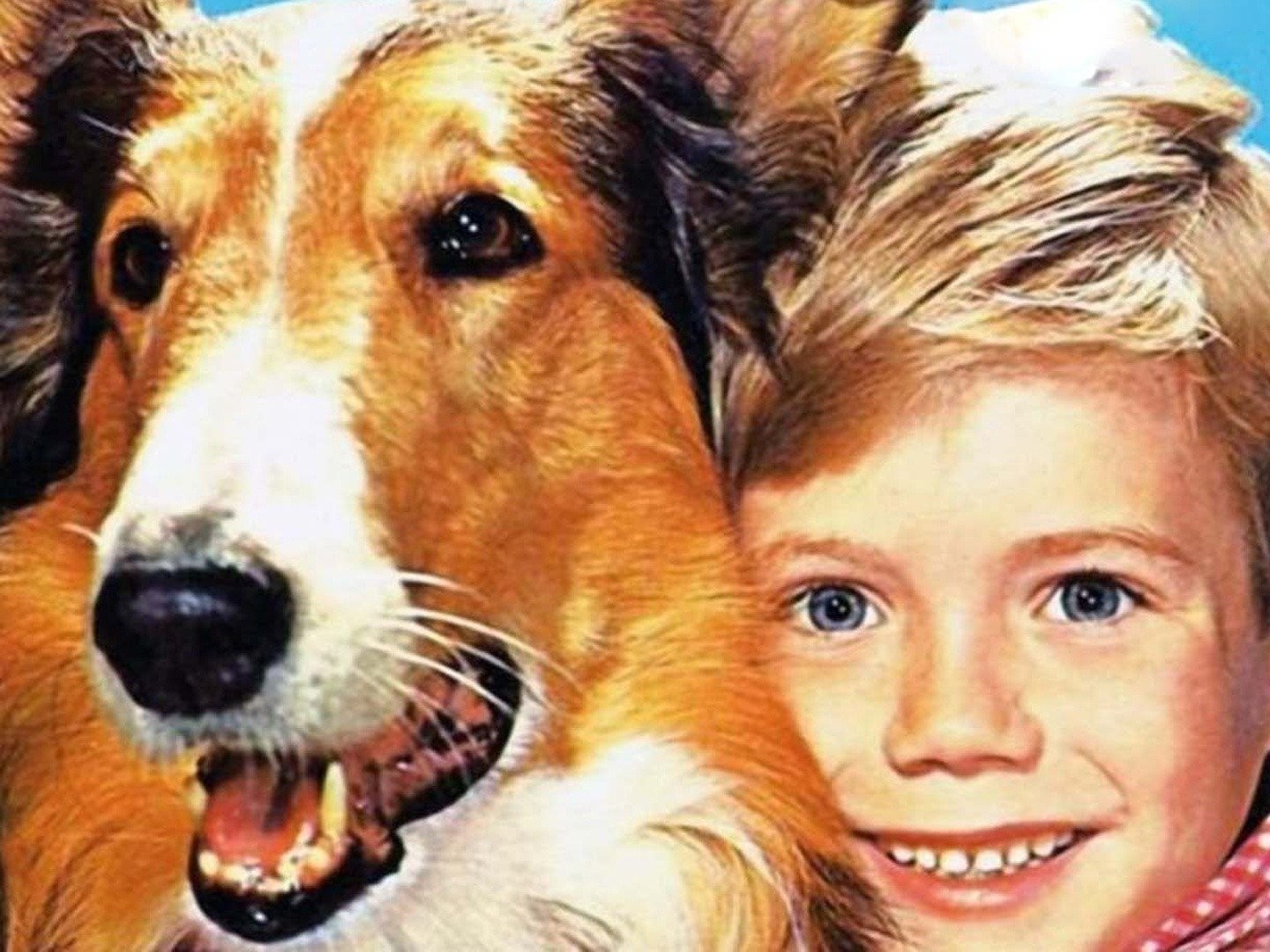 LASSIE: THE NEW BEGINNING - FREE FULL FAMILY MOVIE 🎥🐶 