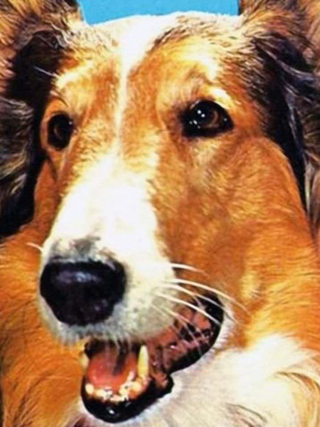 Lassie - Rotten Tomatoes