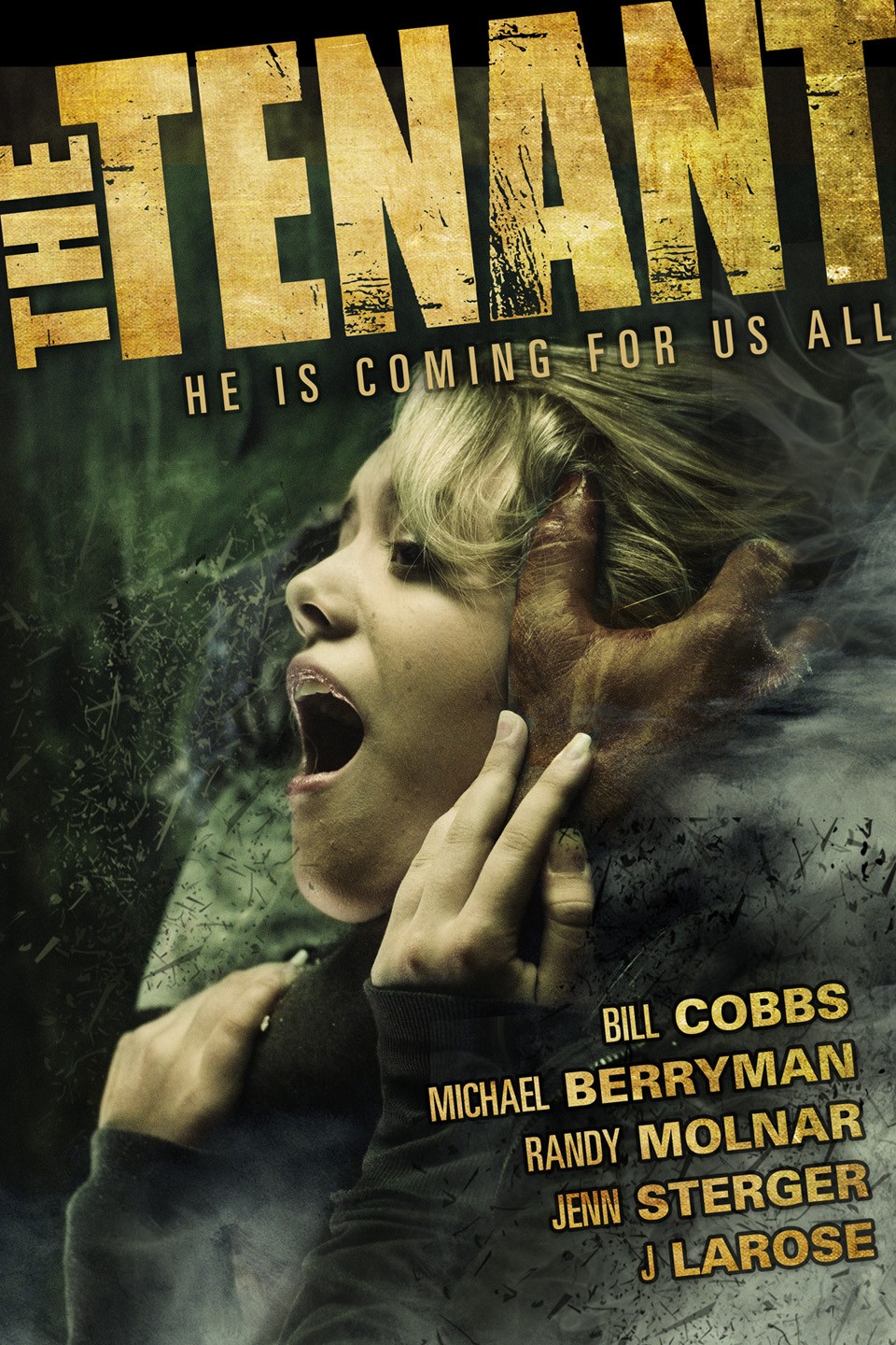 Aerica D'Amaro | Rotten Tomatoes